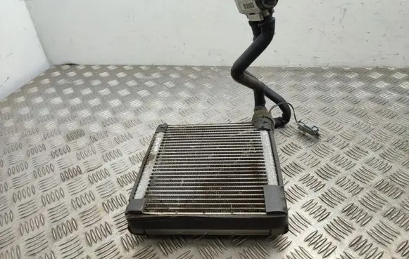 Ford Ecosport Air conditioning (A/C) radiator (interior) 