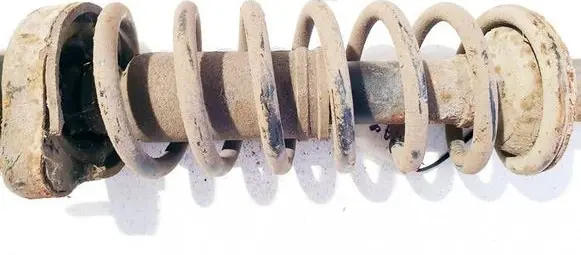 Rear coil spring