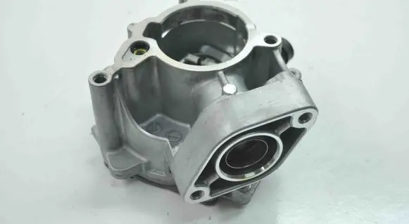 Volkswagen Sharan Vacuum pump 06L145100F