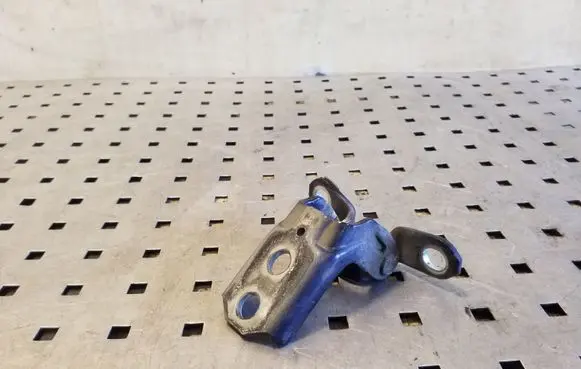 Nissan Juke I F15 Rear door lower hinge