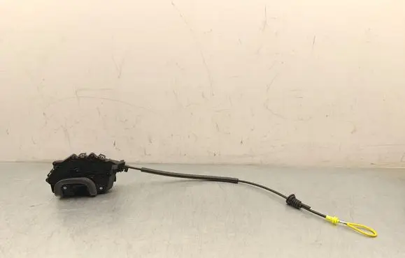 Tesla Model Y Juniper Rear door lock 173894801F