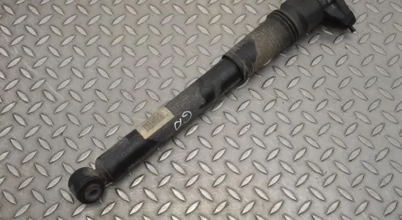 Citroen C4 II Rear shock absorber/damper 9842995480