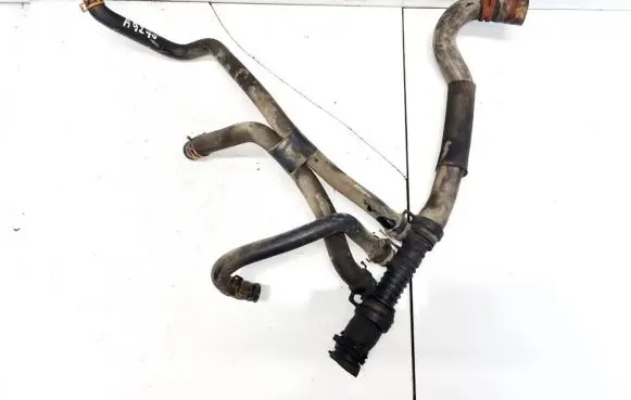 Renault Scenic I Engine coolant pipe/hose