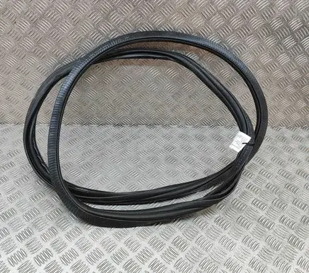 BMW iX Rubber seal front coupe door 8491416