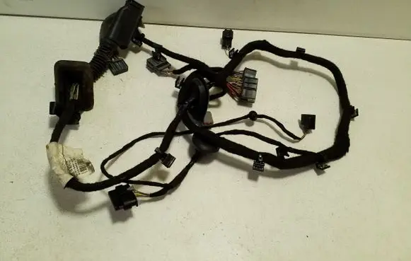 Front door wiring loom