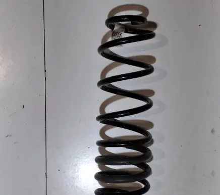Ford Ecosport Rear coil spring GN155560H4B