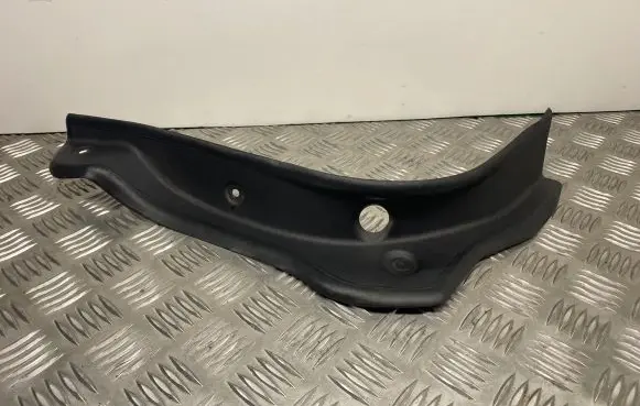 Rear/tail light trim molding