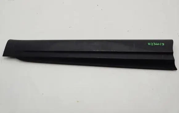 Renault Arkana Front door trim (molding) 808204512R