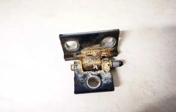 Volvo S80 Rear door lower hinge