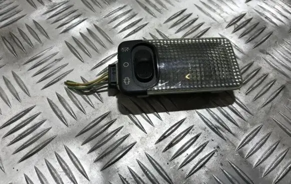 Peugeot 406 Front seat light