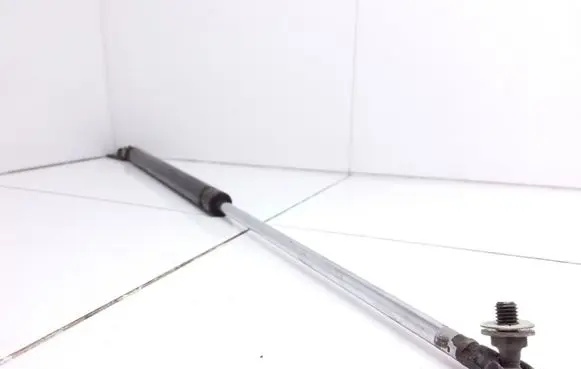 Tailgate/trunk strut/damper