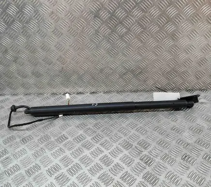 Peugeot 3008 III Tailgate/trunk strut/damper 9843298380