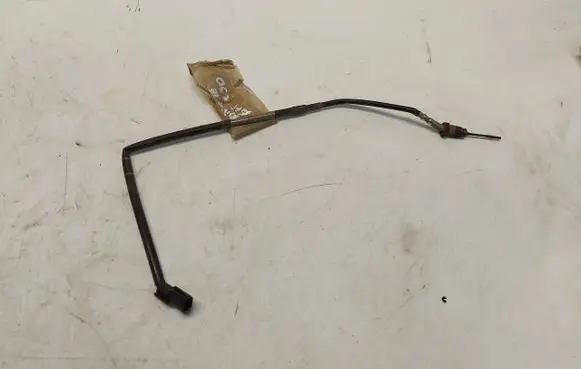 Renault Master III Exhaust gas temperature sensor 226409306RJLK01