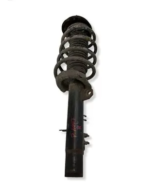 Peugeot 1007 Front shock absorber with coil spring M61JR5340