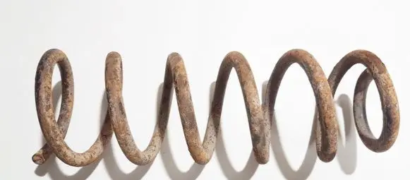 Rear coil spring