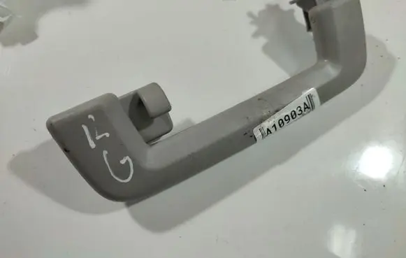 Ford Focus Rear interior roof grab handle