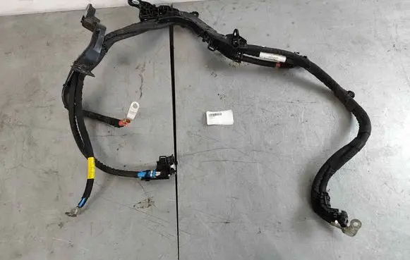 Other wiring loom