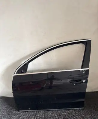 Volkswagen PASSAT B7 Front door LC9X