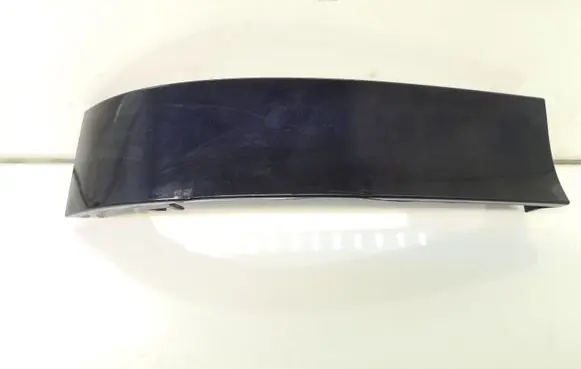 Rear/tail light trim molding