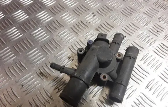 Thermostat/thermostat housing
