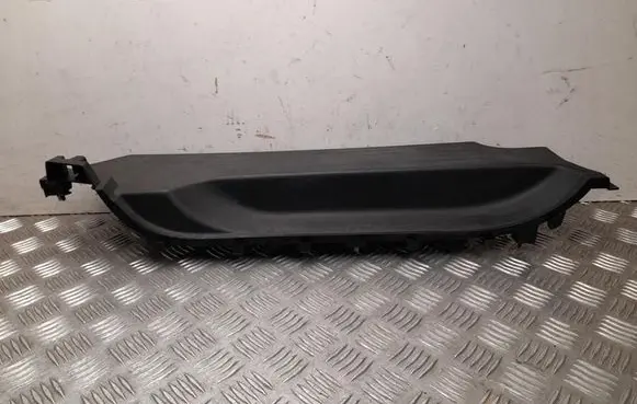 Renault Kangoo III Front sill trim cover 769535989R