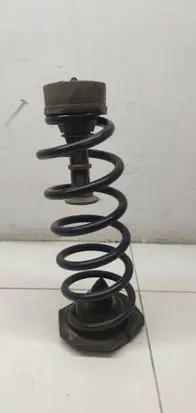 Renault Kadjar Rear coil spring 