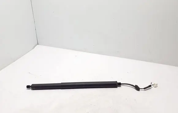 Renault Scenic E-Tech V Tailgate strut 904520913R