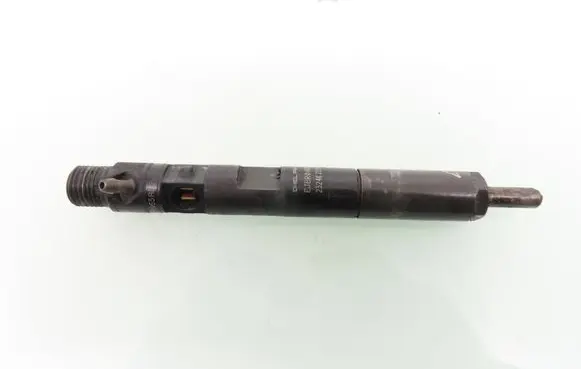Renault Kangoo I Fuel injector 8200567290 EJBR04001D 8200049873