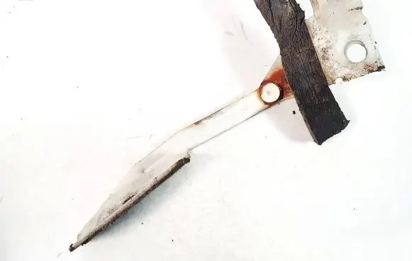 Peugeot 405 Engine bonnet/hood hinges