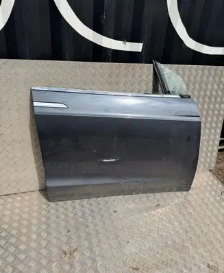 Tesla Model X Front door 