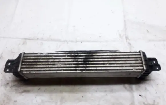 Opel Antara Intercooler radiator 96629070