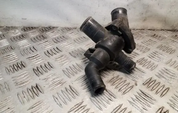 Thermostat/thermostat housing