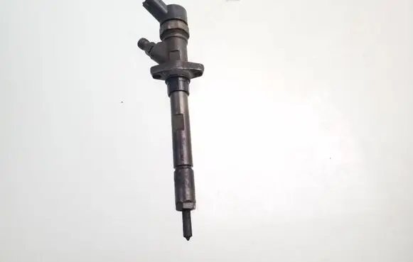 Peugeot 406 Fuel injector 9637277980 0445110036