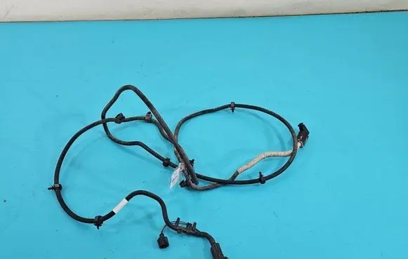 Other wiring loom