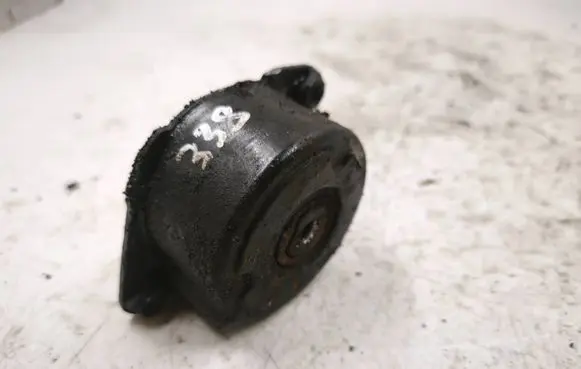BMW 3 E46 Generator/alternator belt tensioner 11282354130