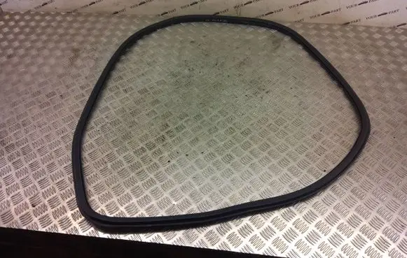 Fiat 500X Front door rubber seal 