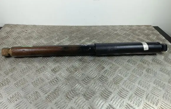 Ford F150 Rear shock absorber/damper 1A19376A