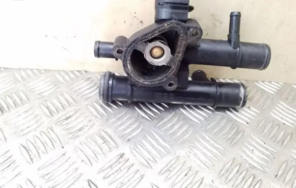 Thermostat/thermostat housing