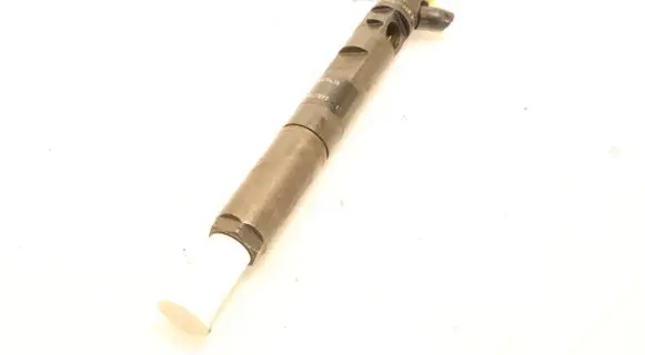 Renault Megane III Fuel injector EJBR05102D