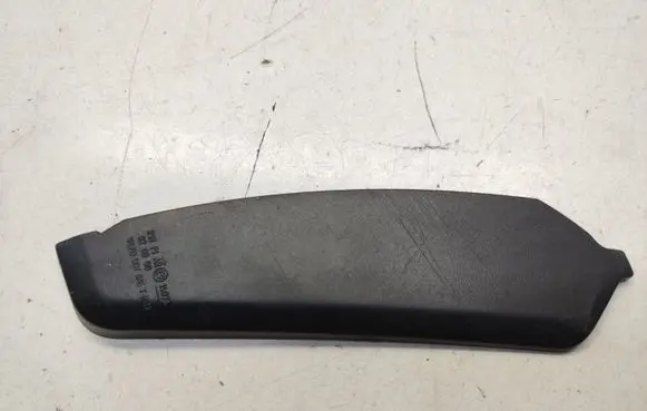 Rear/tail light trim molding