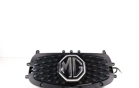MG ZS Front grill 10749241