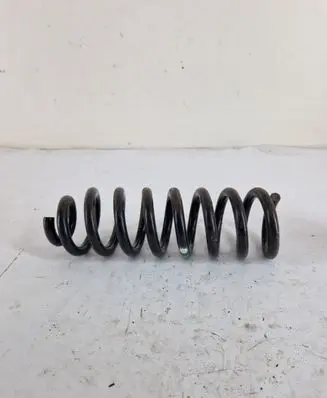 Rear coil spring