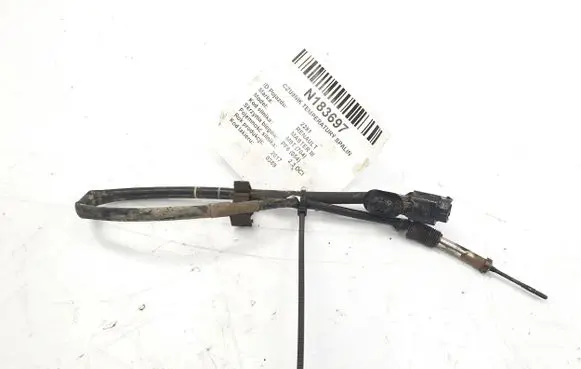 Renault Master III Exhaust gas temperature sensor 226409306R