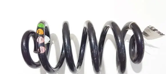 Audi A6 S6 C6 4F Rear coil spring