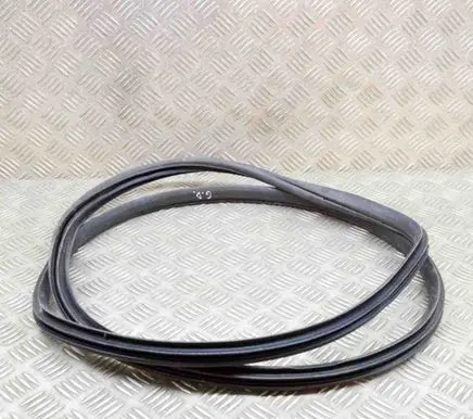 Honda Civic X Rubber seal rear door 72815TGGA01