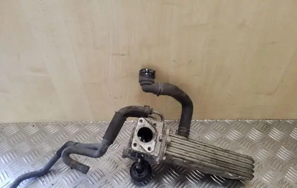 Skoda Octavia Mk2 (1Z) EGR valve cooler 038131513