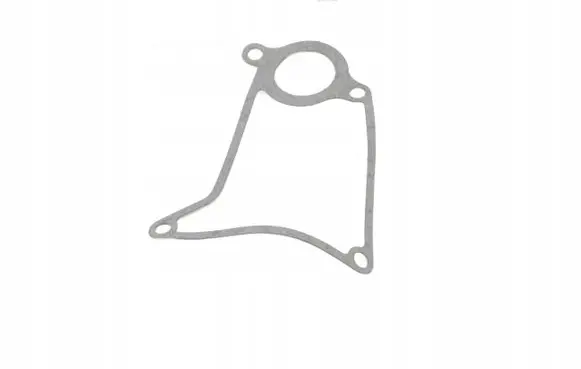 Iveco Daily 6th gen Water pump 500301322