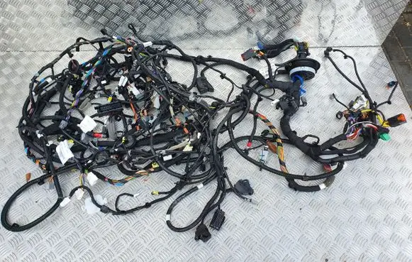 Nissan Juke II F16 Engine installation wiring loom 240146PD9D