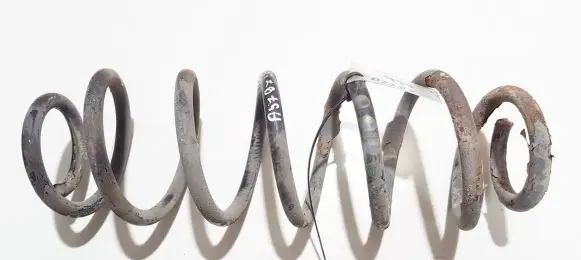 Seat Toledo II (1M) Rear coil spring