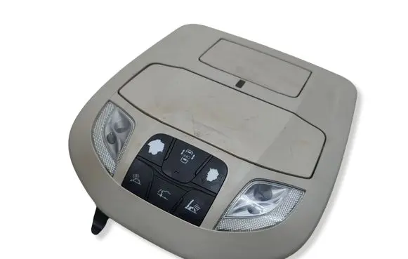 Chrysler Pacifica Front seat light 5RK82PD2AH 33016AI 9708170170107